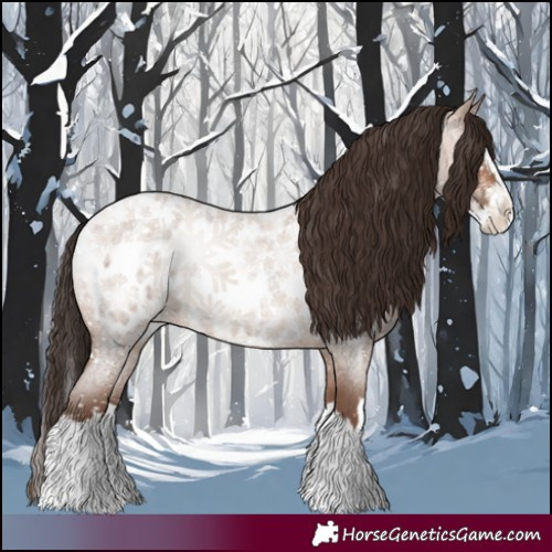Horse Color:Sable Champagne Roan Splash Appaloosa 