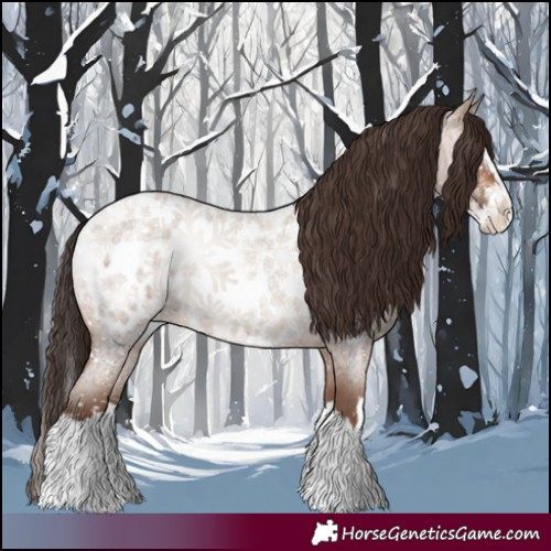 Horse Color:Sable Champagne Roan Splash Appaloosa