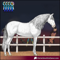 Horse Color:Buckskin Sabino Rabicano 