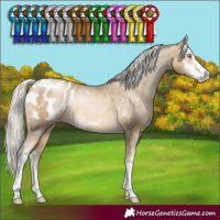 Horse Color:Silver Buckskin Pearl Sabino Blanket Rabicano 