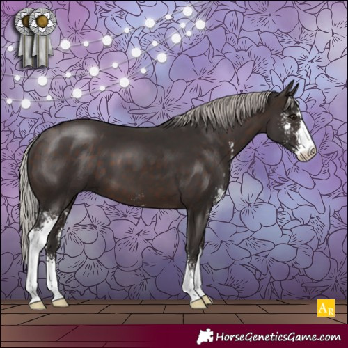 Horse Color:Silver Brown Sabino 