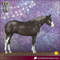 Horse Color:Silver Brown Sabino 