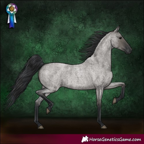 Horse Color:Grullo Roan 