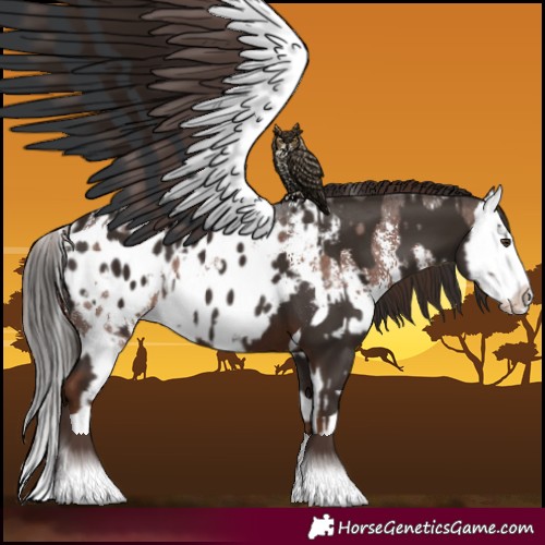 Horse Color:Liver Chestnut Sabino Splash Blanket  and Liver Chestnut Sabino Splash Blanket 