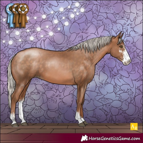 Horse Color:Silver Brown Pearl Sabino 