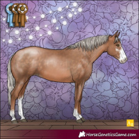 Horse Color:Silver Brown Pearl Sabino 