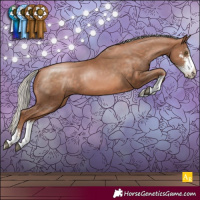 Horse Color:Silver Brown Pearl Sabino 