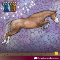 Horse Color:Silver Brown Pearl Sabino 
