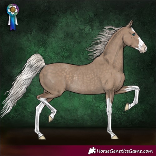 Horse Color:Silver Grullo Splash Rabicano 