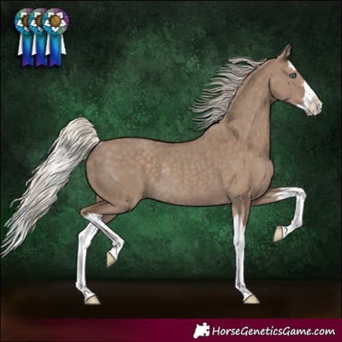 Horse Color:Silver Grullo Splash Rabicano 