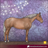 Horse Color:Silver Black Pearl Rabicano