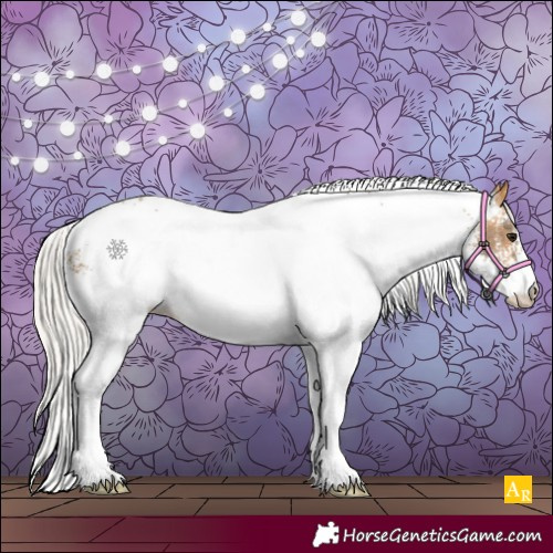 Horse Color:White Spotted Silver Buckskin 