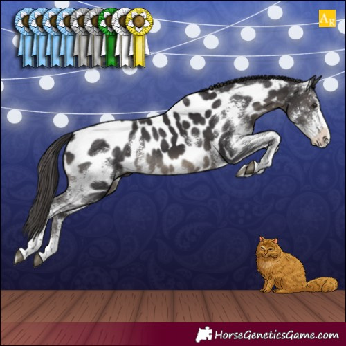 Horse Color:Smoky Black Sabino Appaloosa Rabicano