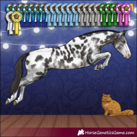 Horse Color:Smoky Black Sabino Near Leopard Rabicano 