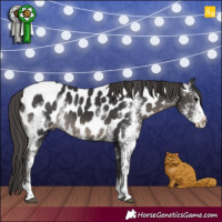 Horse Color:Smoky Black Sabino Appaloosa Rabicano 