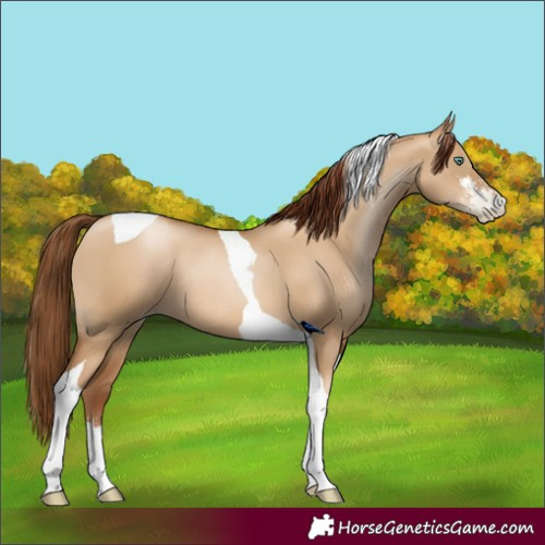 Horse Color:Gray Classic Champagne Pearl Dun Sabino Tobiano 