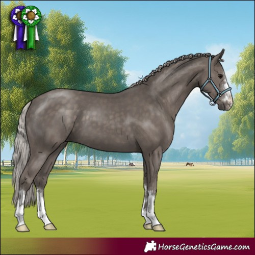 Horse Color:Silver Black 