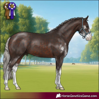 Horse Color:Silver Brown Sabino