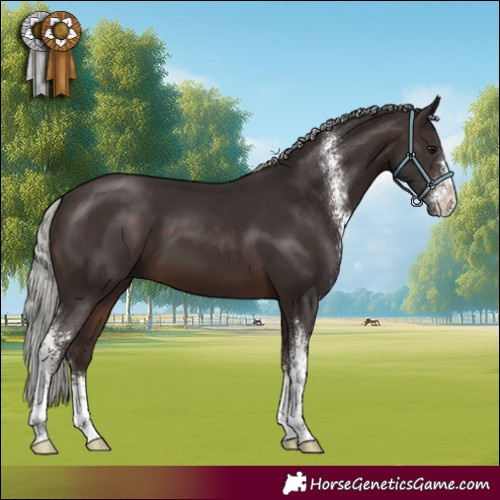 Horse Color:Silver Brown Sabino 
