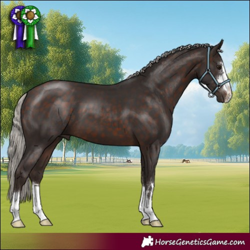 Horse Color:Silver Brown 