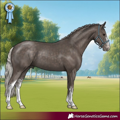 Horse Color:Silver Black Sabino 