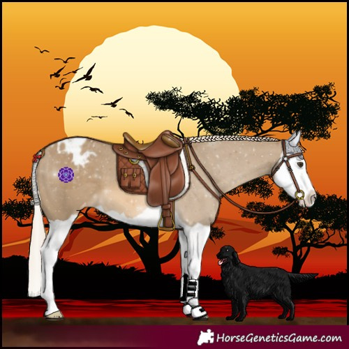 Horse Color:Chocolate Palomino Dun Splash Varnish 