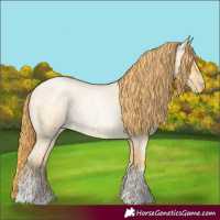 Horse Color:Buckskin Roan Pearl and Buckskin Roan Pearl
