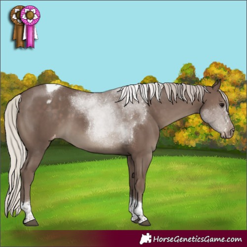 Horse Color:Silver Black Tobiano Varnish 