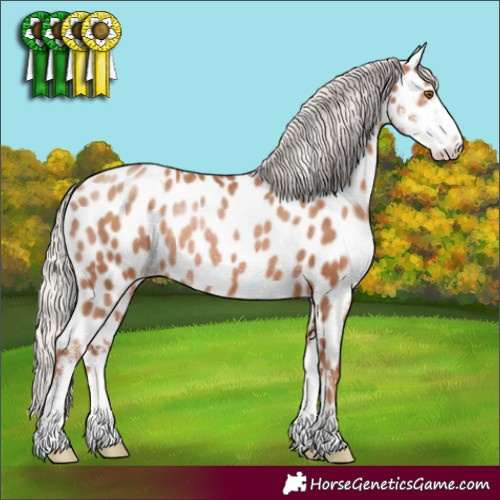 Horse Color:Silver Black Pearl Sabino Appaloosa Rabicano