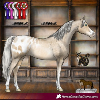 Horse Color:Silver Buckskin Pearl Sabino Appaloosa Rabicano