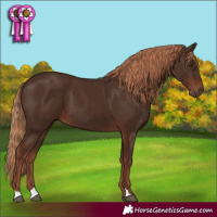 Horse Color:Liver Chestnut 