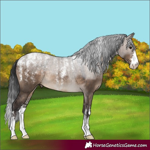 Horse Color:Powder White Brown Dun Rabicano