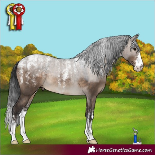 Horse Color:Powder White Brown Dun Rabicano 