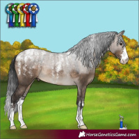 Horse Color:Powder White Brown Dun Rabicano 