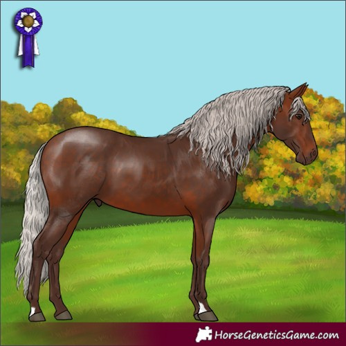 Horse Color:Silver Bay 