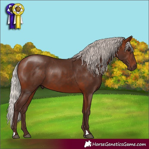 Horse Color:Silver Bay 