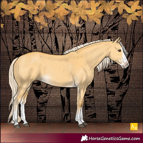 Horse Color:Palomino Dun Splash 