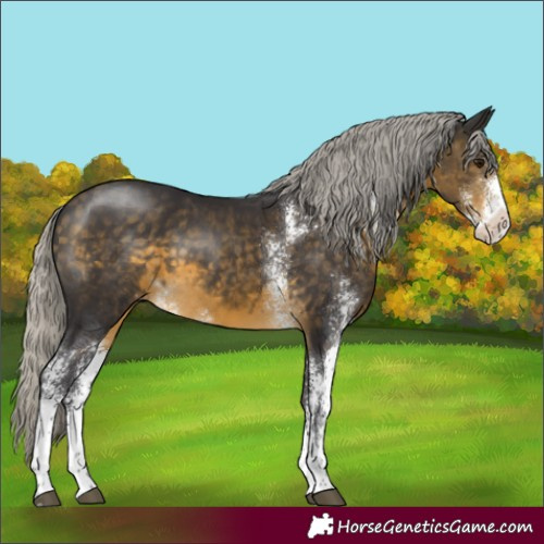 Horse Color:Silver Buckskin Sabino 