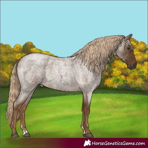 Horse Color:Chocolate Palomino Roan 