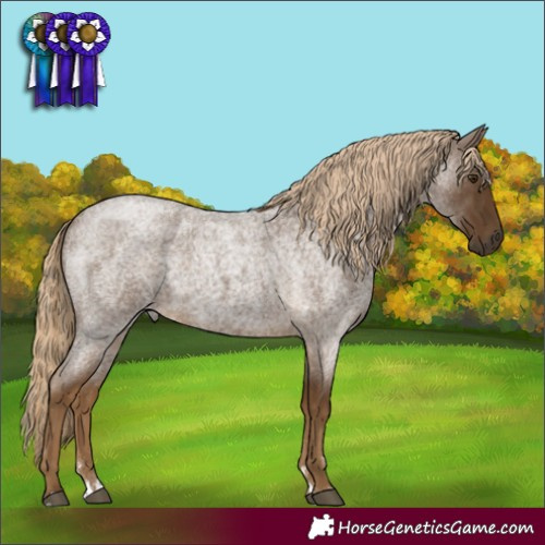 Horse Color:Chocolate Palomino Roan 