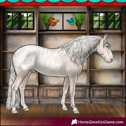 Horse Color:Gold Cream Champagne Pearl Blanket 