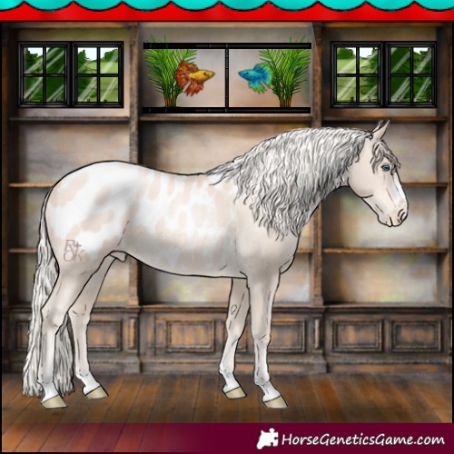 Horse Color:Gold Cream Champagne Pearl Blanket 