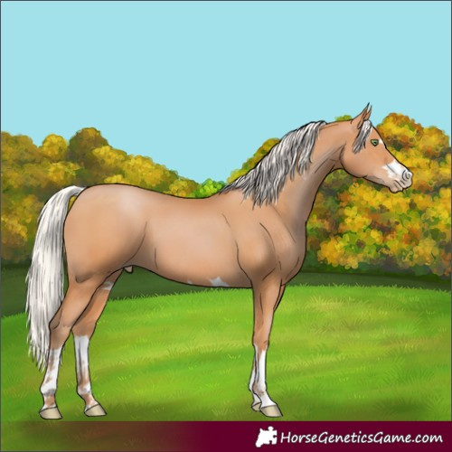 Horse Color:Silver Bay Pearl 