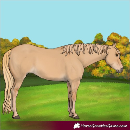 Horse Color:Red Dun 