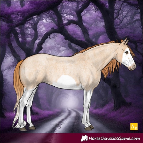 Horse Color:Red Dun Roan Splash Frame Rabicano 