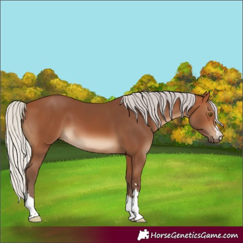 Horse Color:Silver Brown 