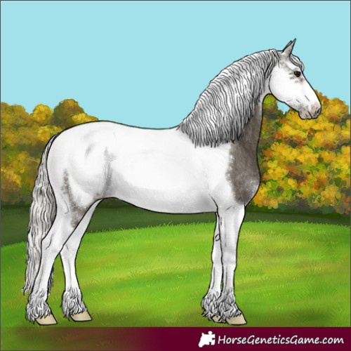 Horse Color:Silver Smoky Black Sabino Tobiano Frame Rabicano 
