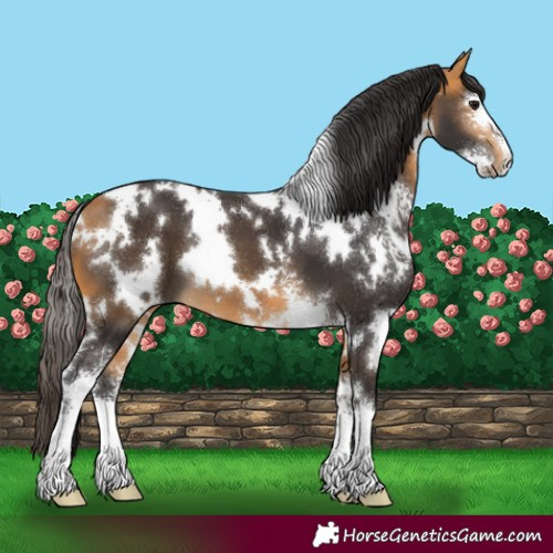 Horse Color:White Spotted Buckskin Sabino
