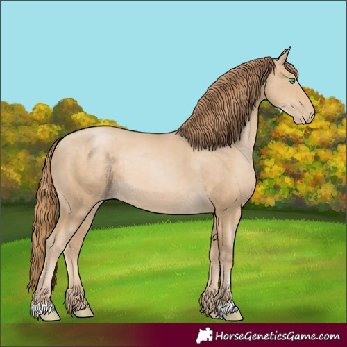 Horse Color:Smoky Black Pearl