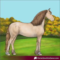 Horse Color:Smoky Black Pearl